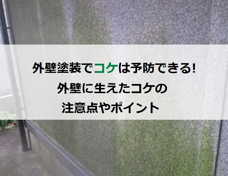 外壁塗装でコケは予防できる 外壁に生えたコケの注意点やポイント 南大阪ペイントセンター