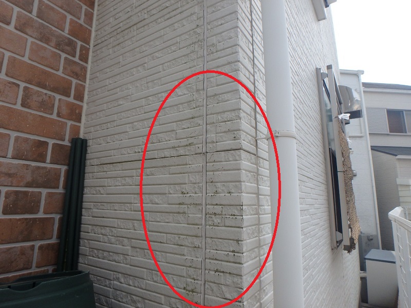 羽曳野市にてサイディングの外壁工事をご検討中の方からお問合わせ 外壁のカビ