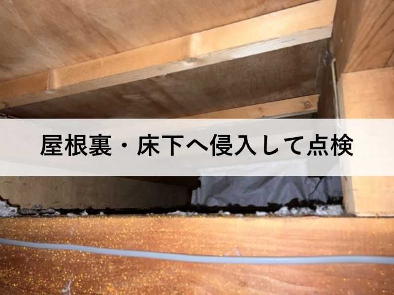 屋根裏・床下へ侵入して点検