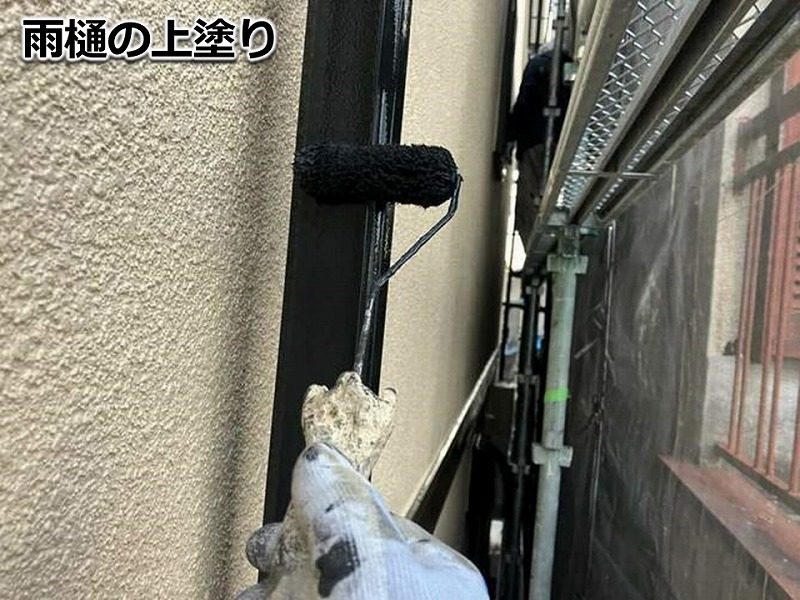 雨樋の上塗り